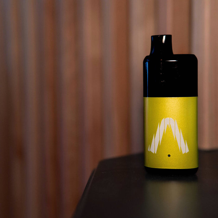 Black and yellow Allo Intense Nuud 50K