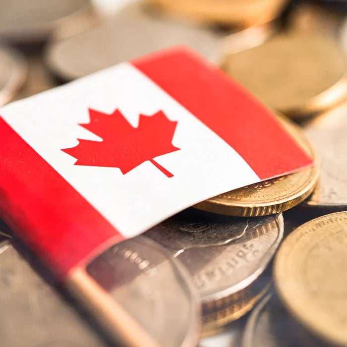 Canadian flag sitting on a hill of coins 