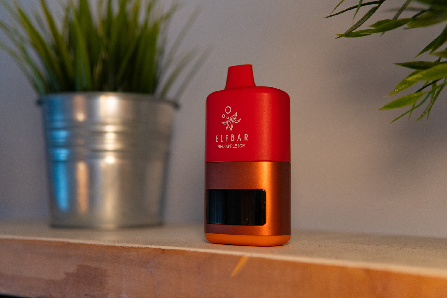 STLTH X Elfbar in front of plants on a shelf